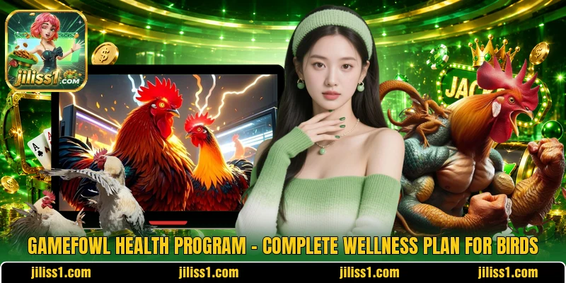 Gamefowl Health Program – Complete Wellness Plan For Birds